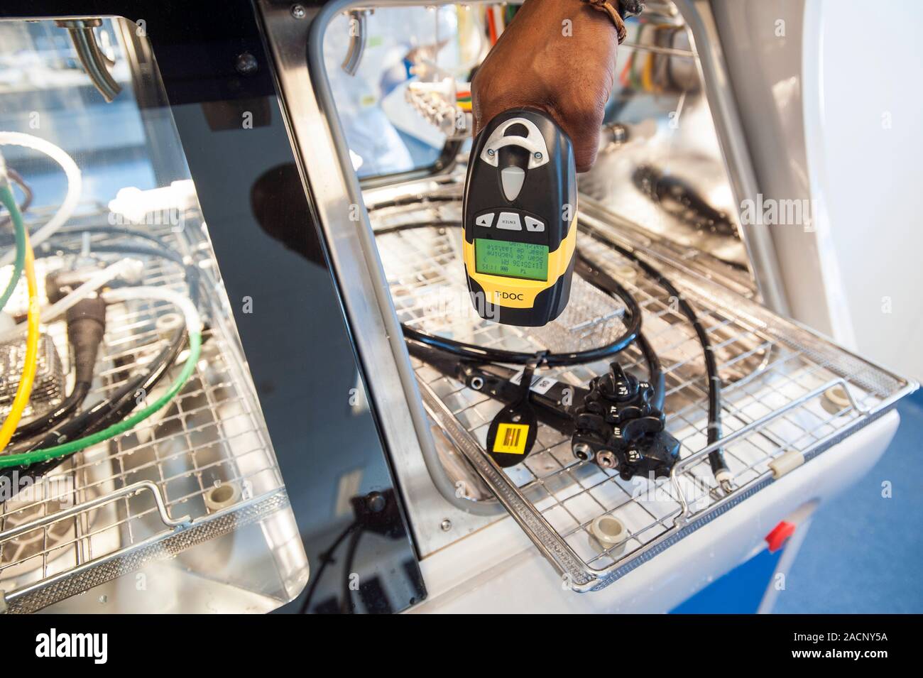 Endoscope sterilisation. Technician scanning the identification labels ...