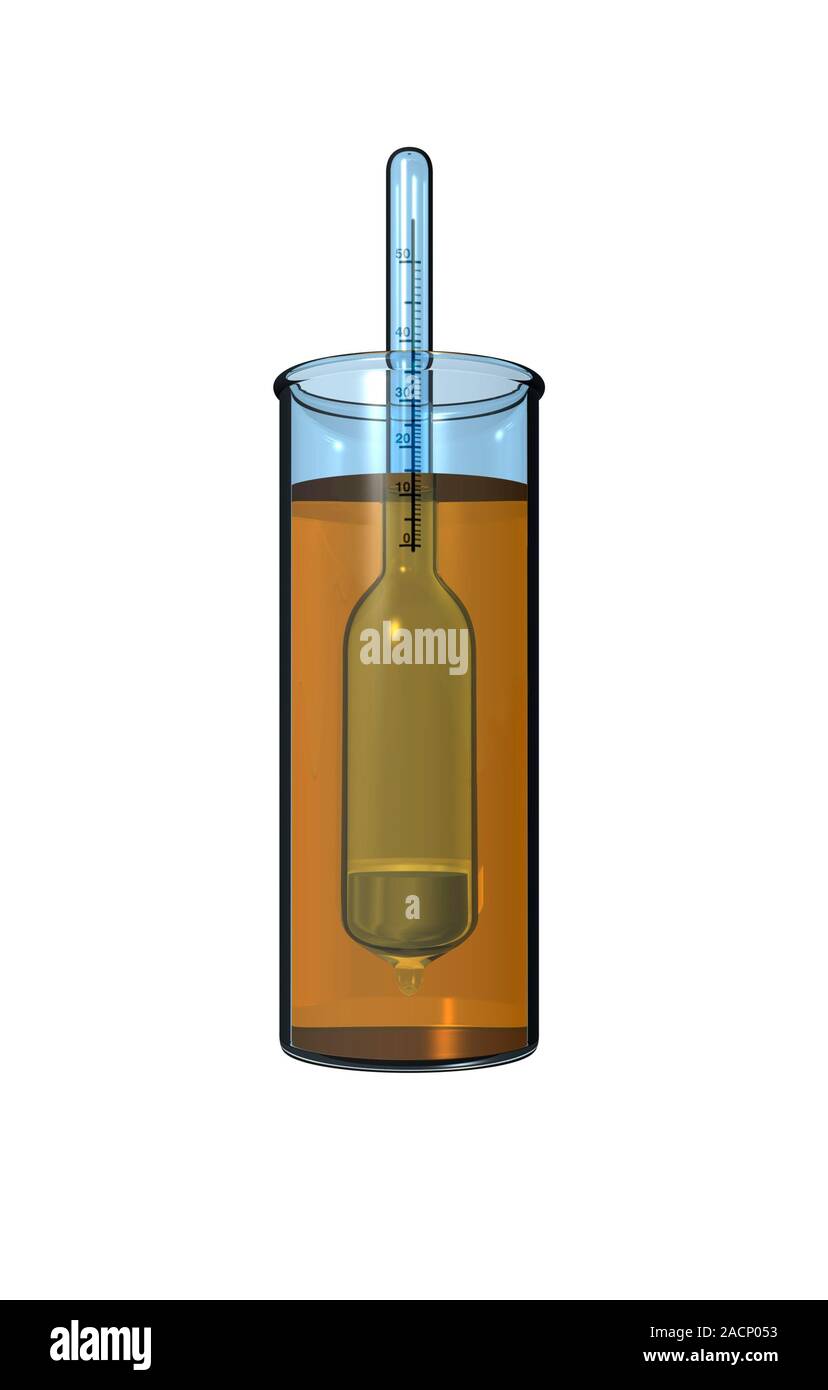 Hydrometer. Computer artwork of a hydrometer floating in a liquid. A