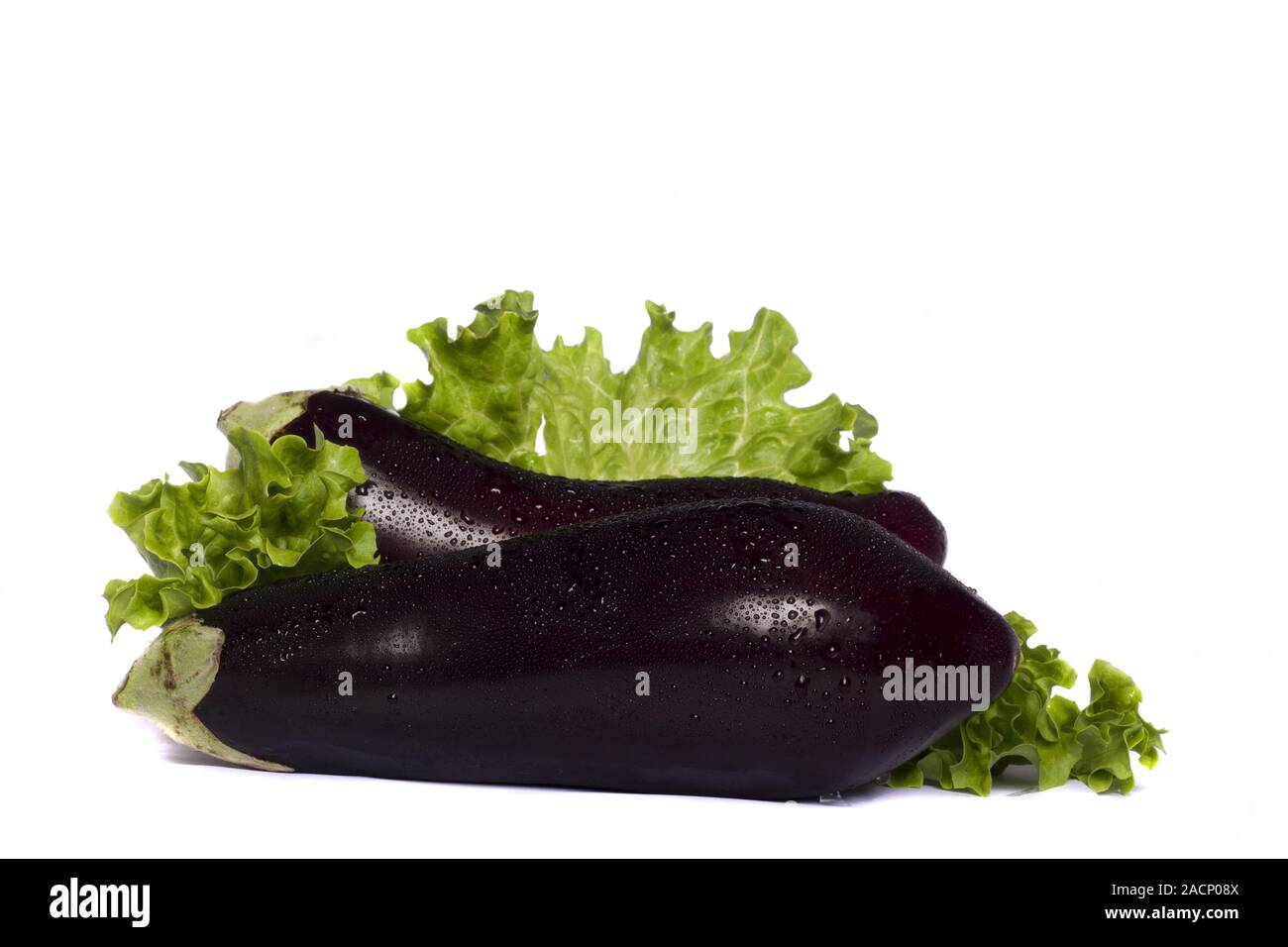eggplant on white background Stock Photo