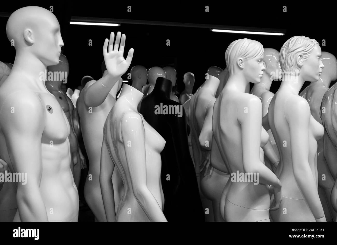 A Hugh collection of mannequins in a warehouse, all for sale for fashionshopts etc. Stock Photo