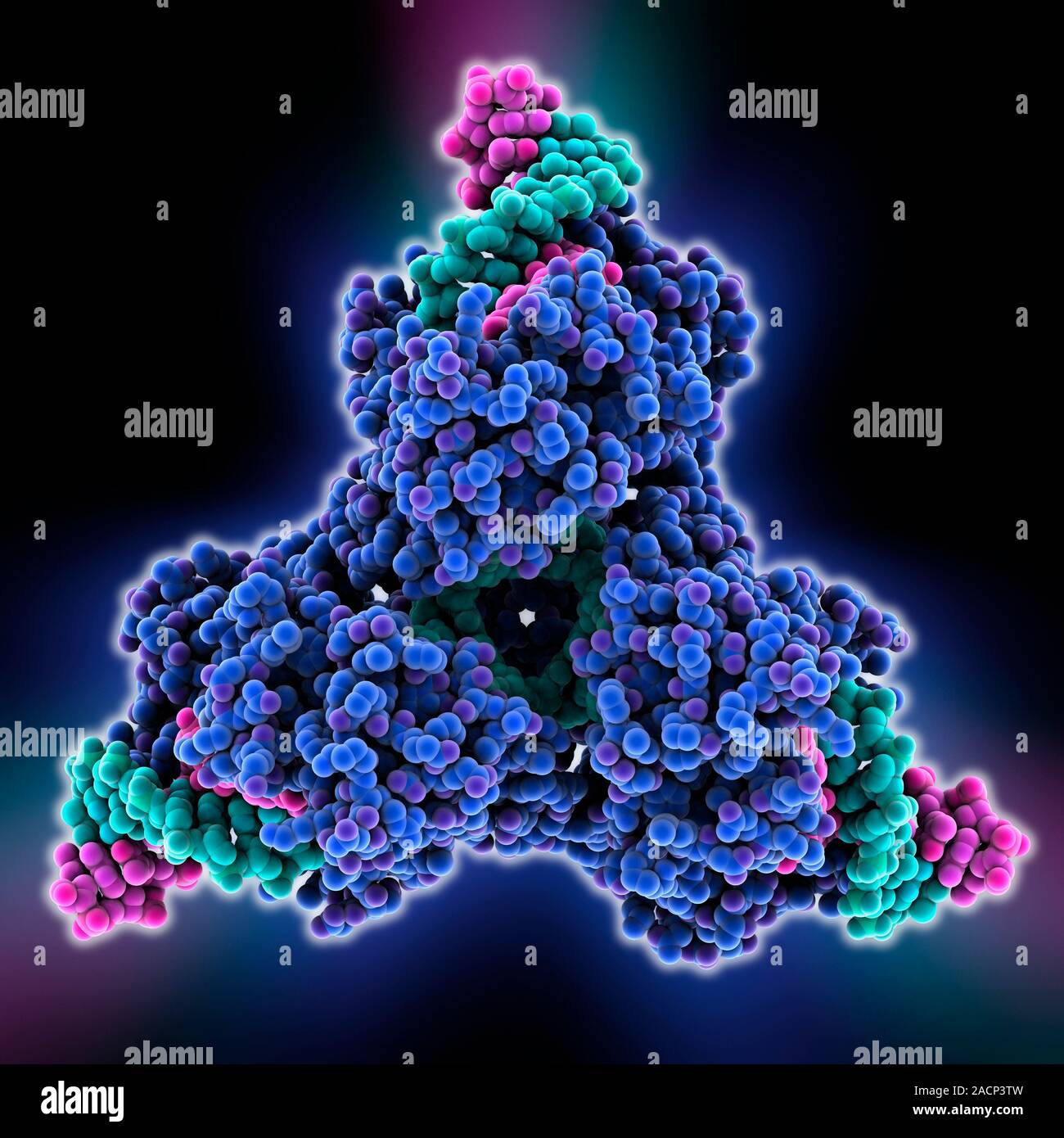 CreLox Molecular model of the enzyme CRE (cyclization