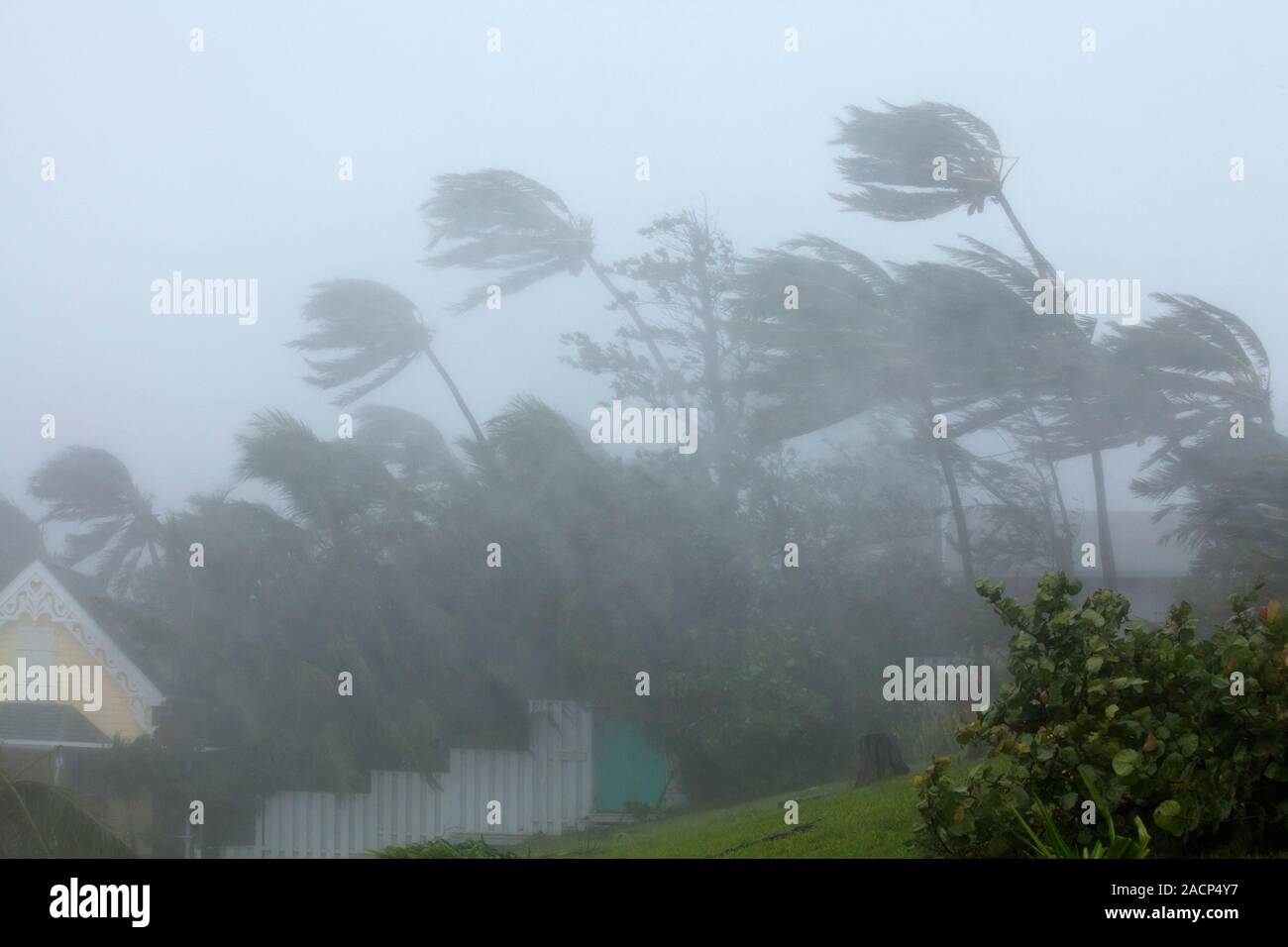 A very strong wind. Тропический шторм 1881 года. Strong Wind. Four Winds Hurricane. Часто ли ураганы на Фиджи.