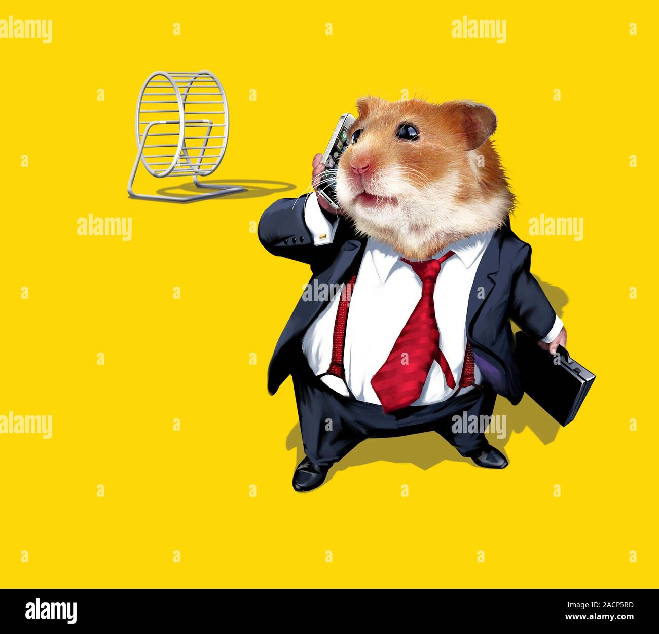 Business lifestyle. Conceptual artwork of a suited rodent using a mobile  phone, with a hamster wheel in the background. This image represents a  fast-p Stock Photo - Alamy