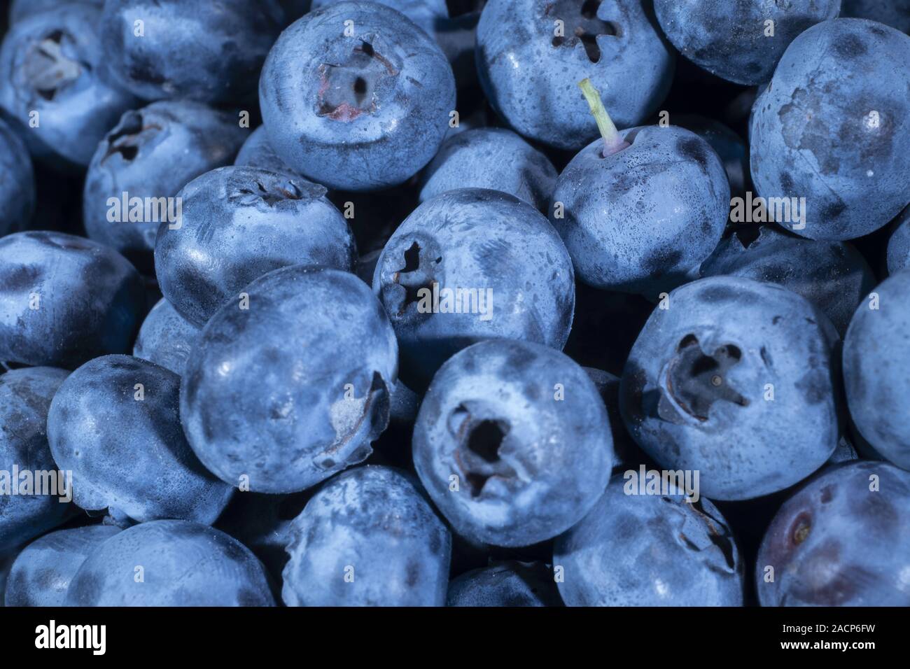 Odessa, Ukraine, Eastern Europe. 26th 2019. Detail of Blueberries. Macro trucking shot. Top Bog
