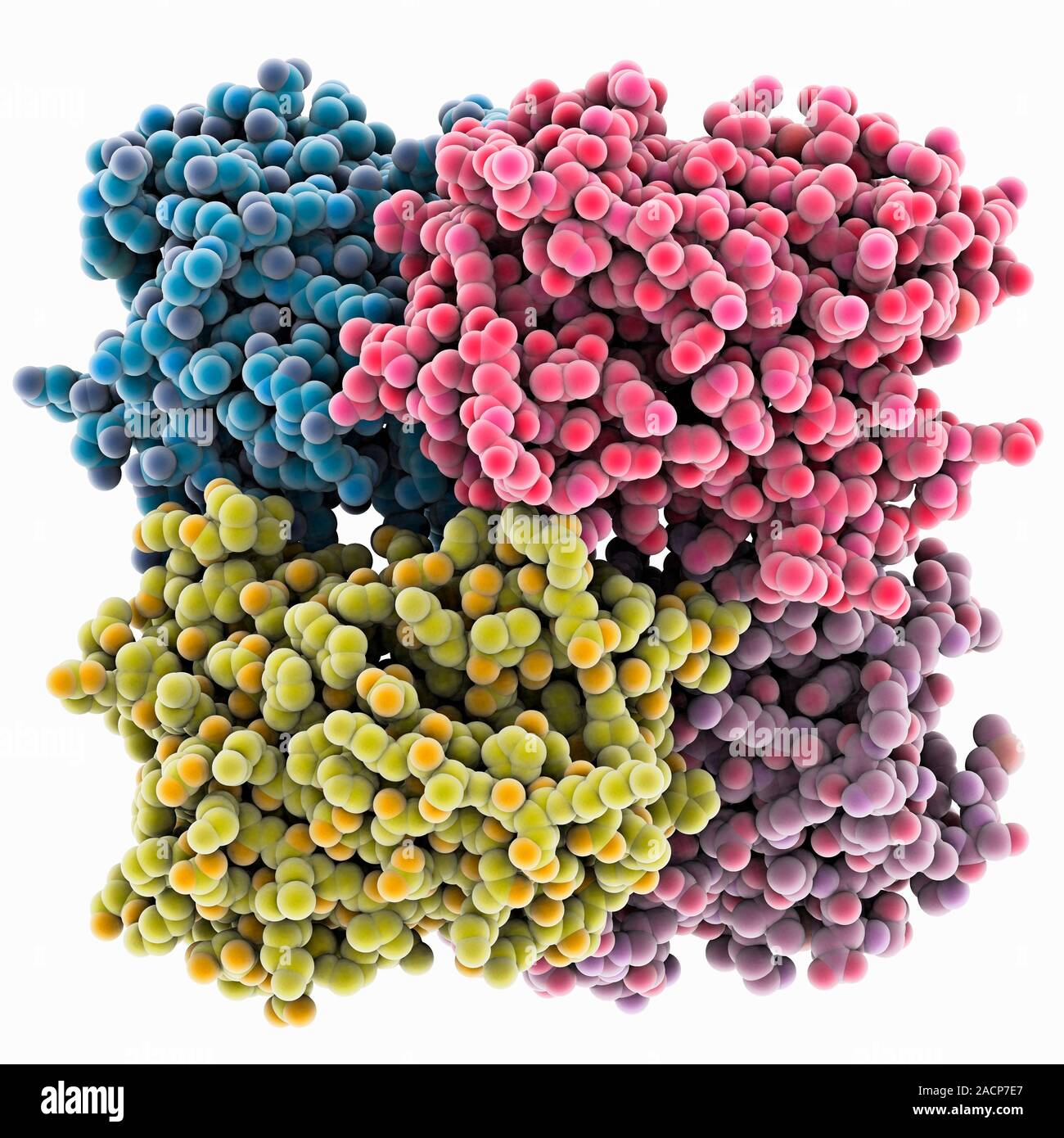 Reversibly switchable fluorescent protein, molecular model. Reversibly ...