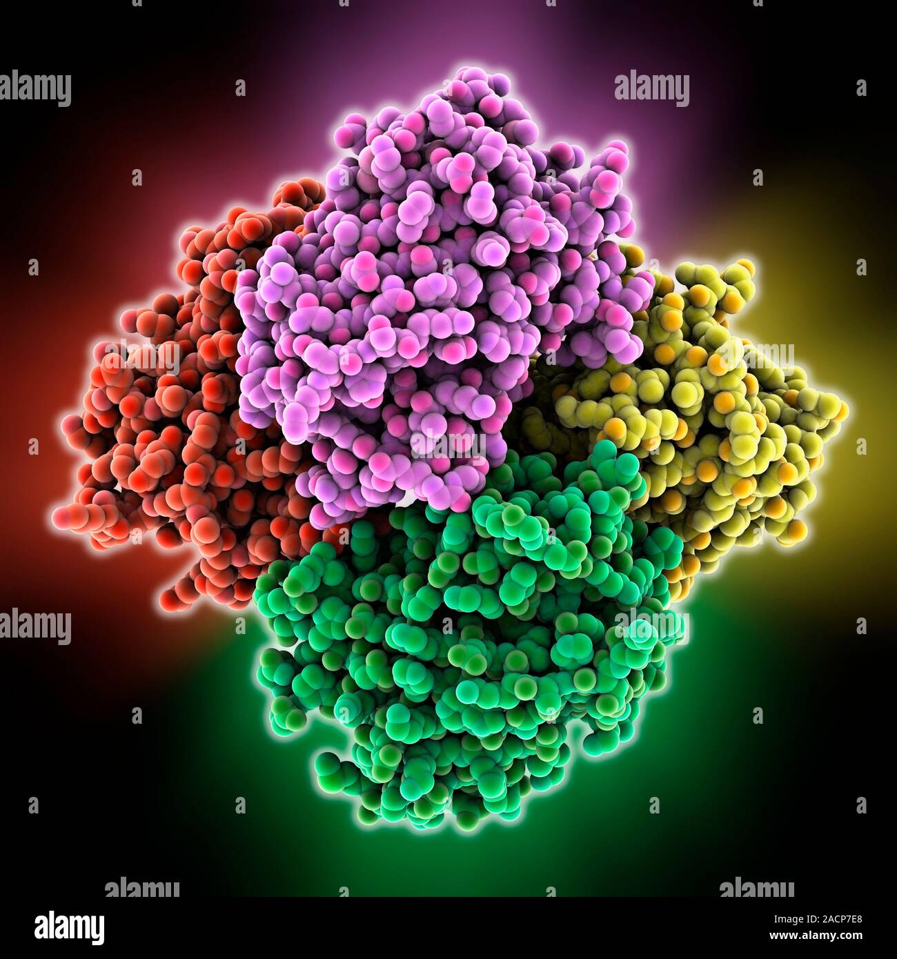 Reversibly switchable fluorescent protein, molecular model. Reversibly ...