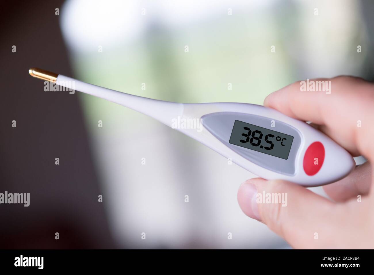 Picture of a fever thermometer indicating 38.5 degrees Celsius Stock Photo