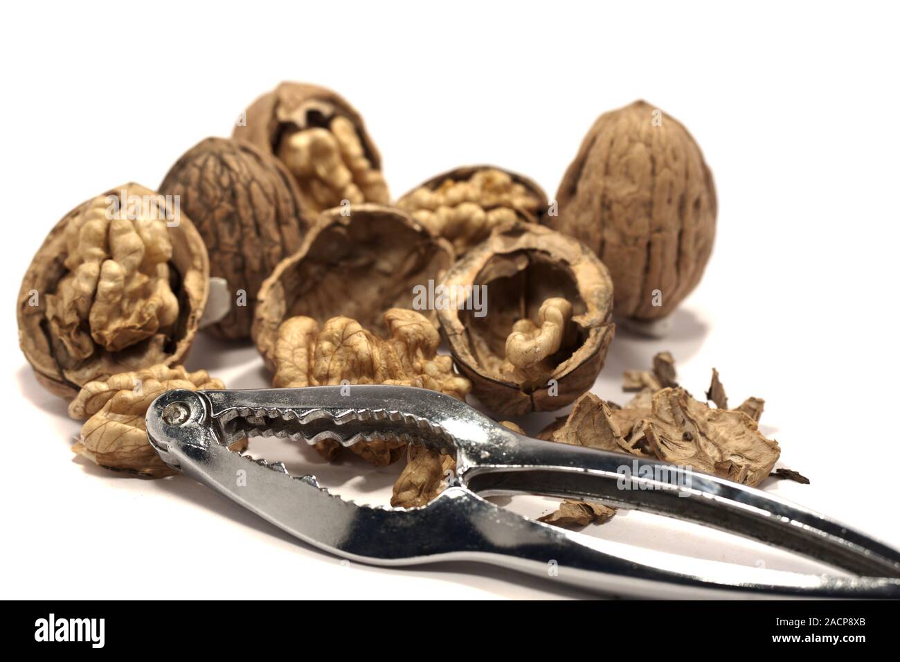 Crushed Walnut Shells And Peanut Shells Scattered, Isolated On White Stock  Photo, Picture and Royalty Free Image. Image 66453477.