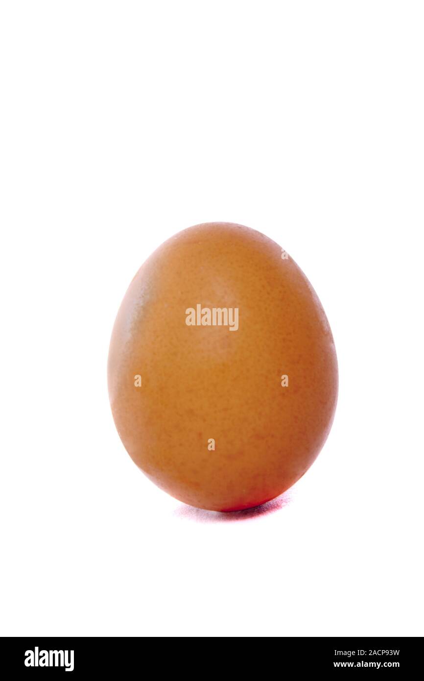 alone egg Stock Photo