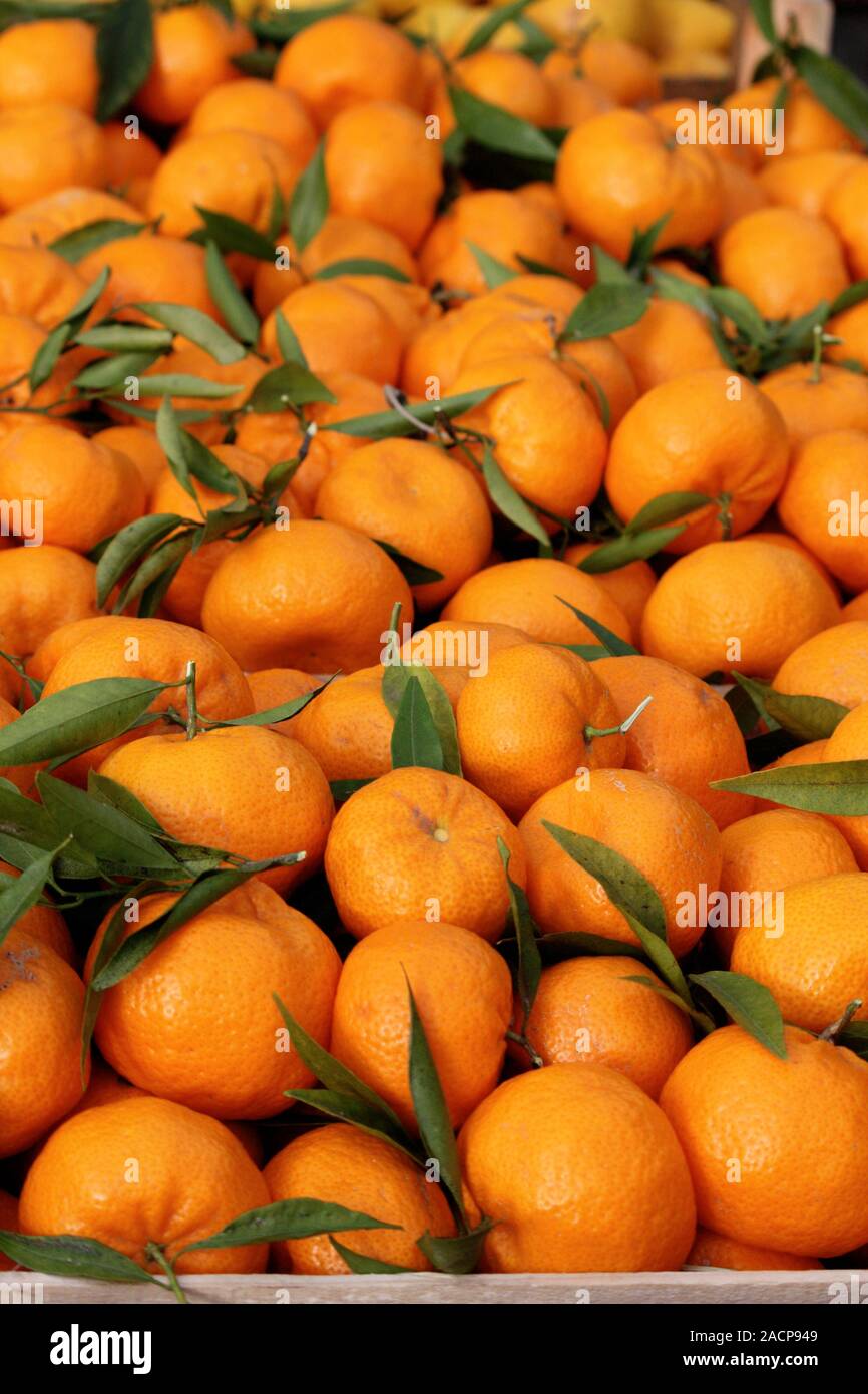 Many oranges on the streetmarket Stock Photo