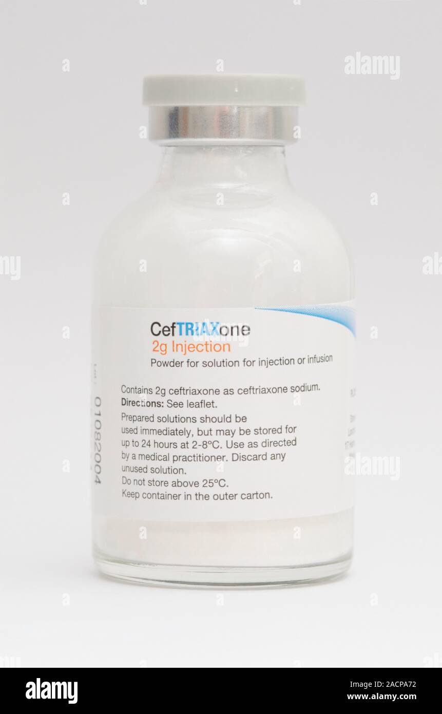 Ceftriaxone Antibiotic Powder Bottle Containing Ceftriaxone Powder For Injection Ceftriaxone