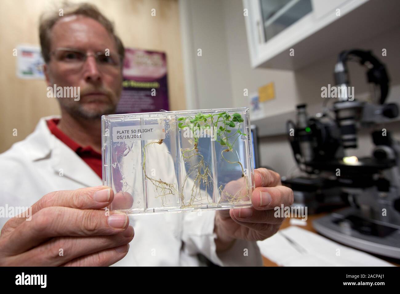 Plant growth in space research researcher with samples of plants grown