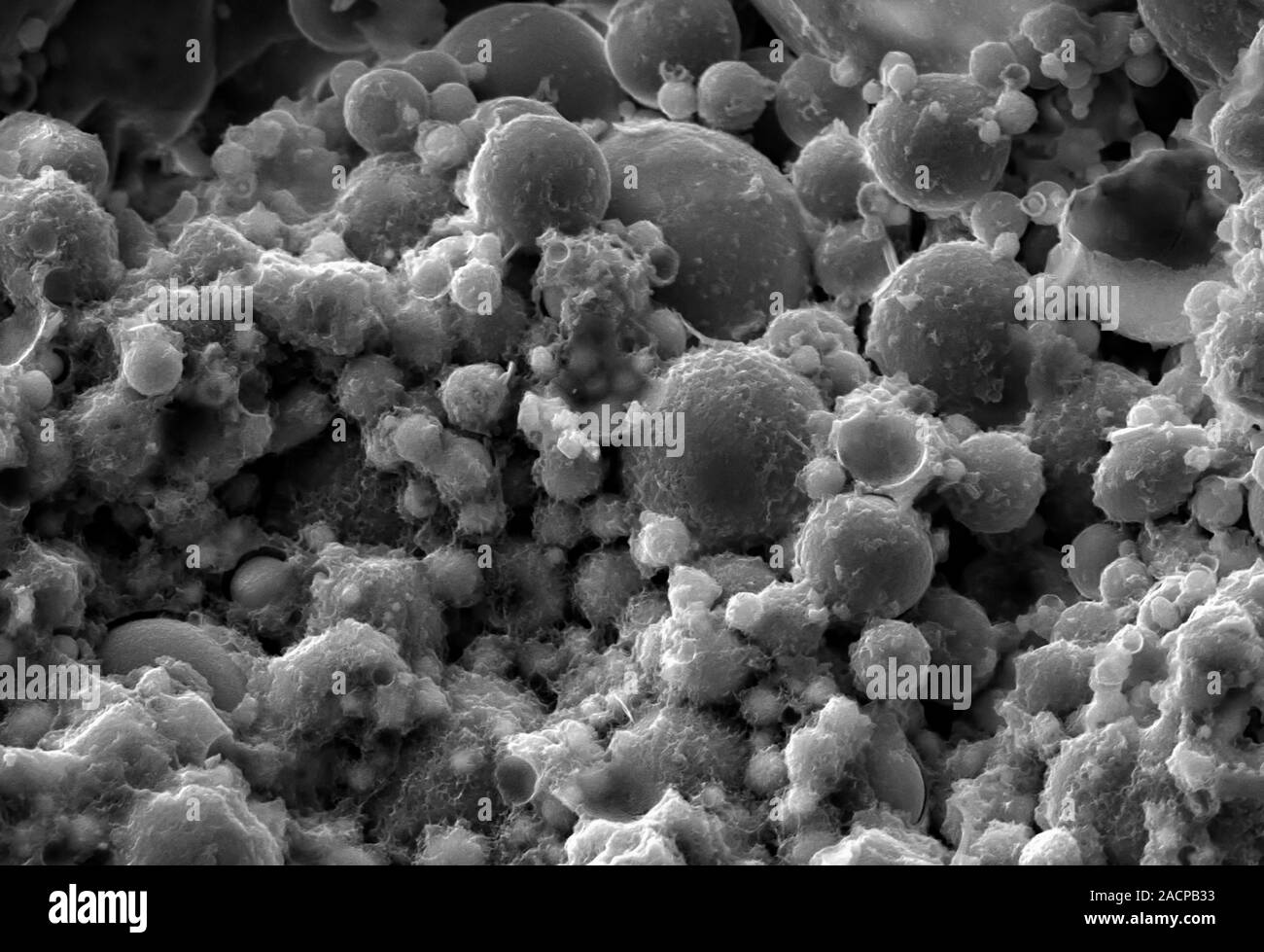 Fly ash in concrete. Scanning electron microscope of a conglomeration
