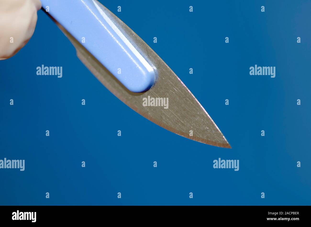 Blade of a surgical scalpel Stock Photo Alamy