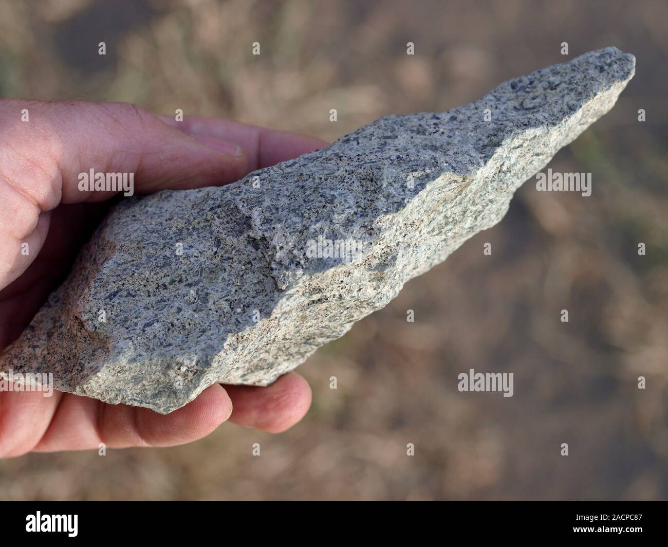 Olduvai biface stone tool (hand axe). Prehistoric hand axe stone tool