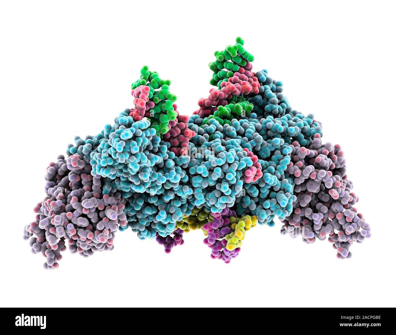 Retroviral intasome molecule. Molecular model of an intasome (blue and ...