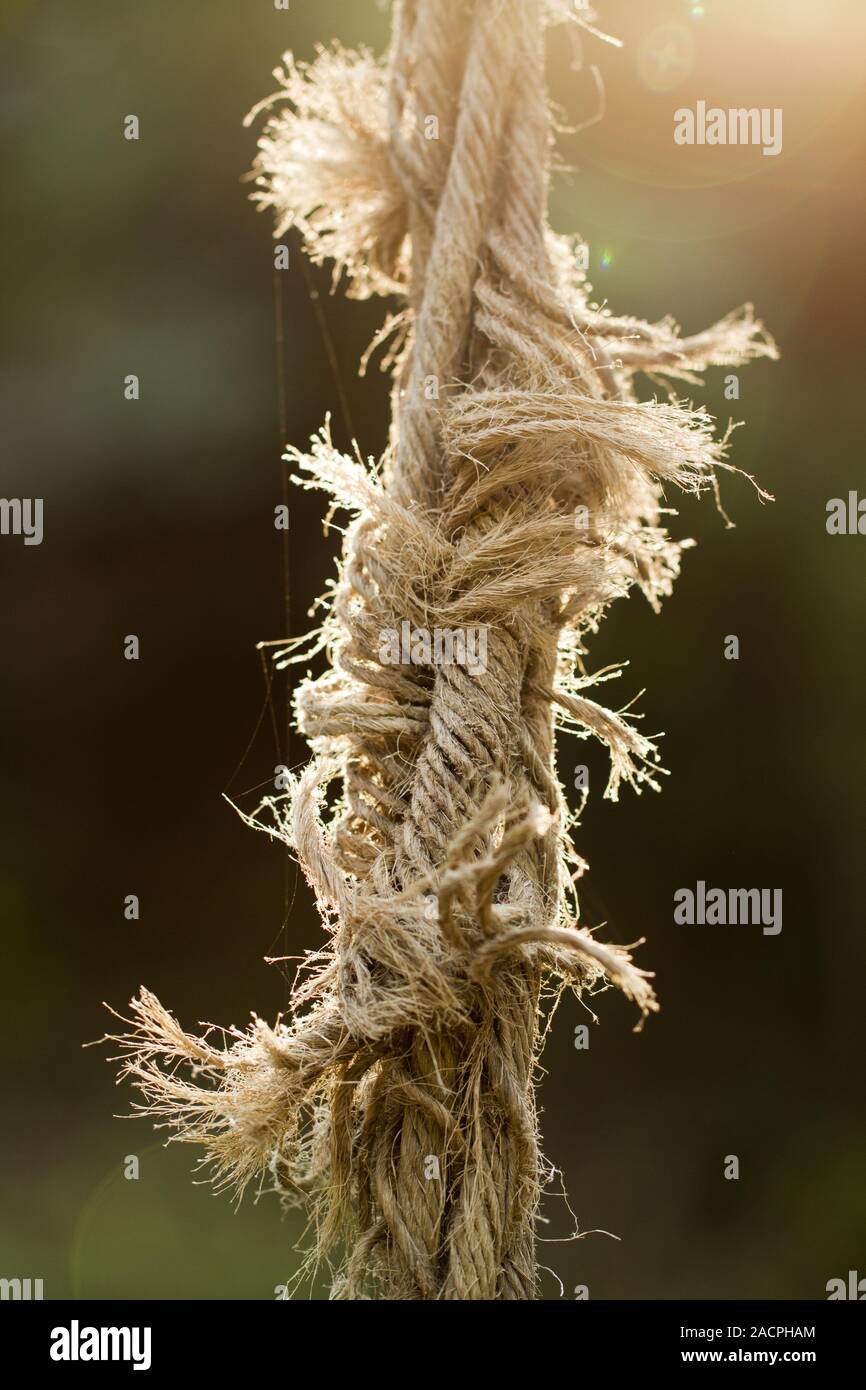 Rip cord hi-res stock photography and images - Alamy