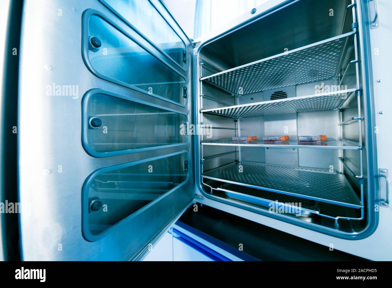 Carbon dioxide incubator. Cell cultures inside a carbon dioxide incubator Stock Photo Alamy