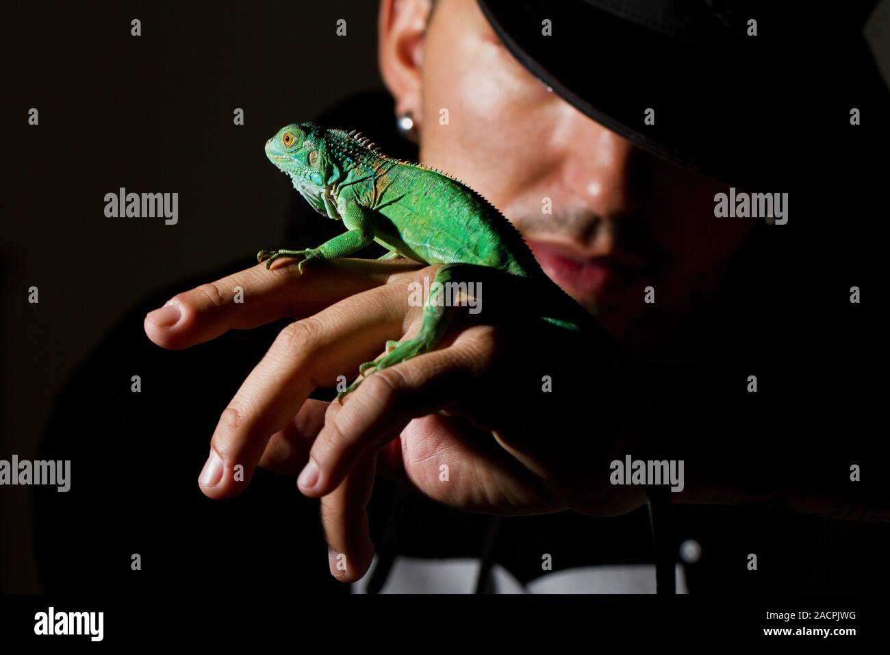 man and iguana Stock Photo