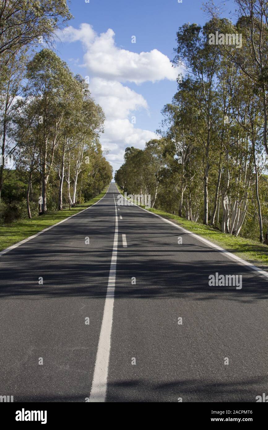 long asphalt road Stock Photo
