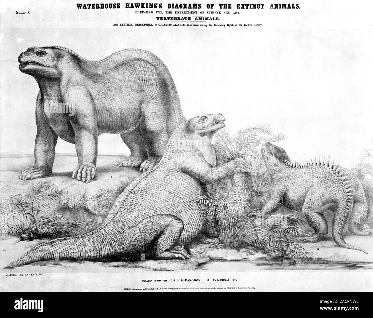 iguanodon-and-hylaeosaurus-19th-century-government-wall-poster-circa