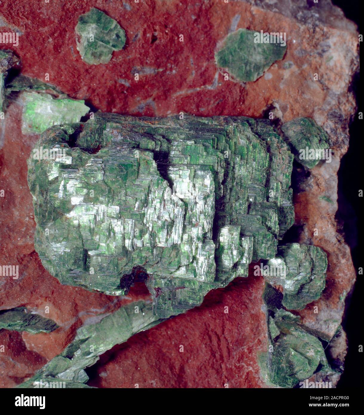 Torbernite (hydrated copper uranyl phosphate). This is a uranium