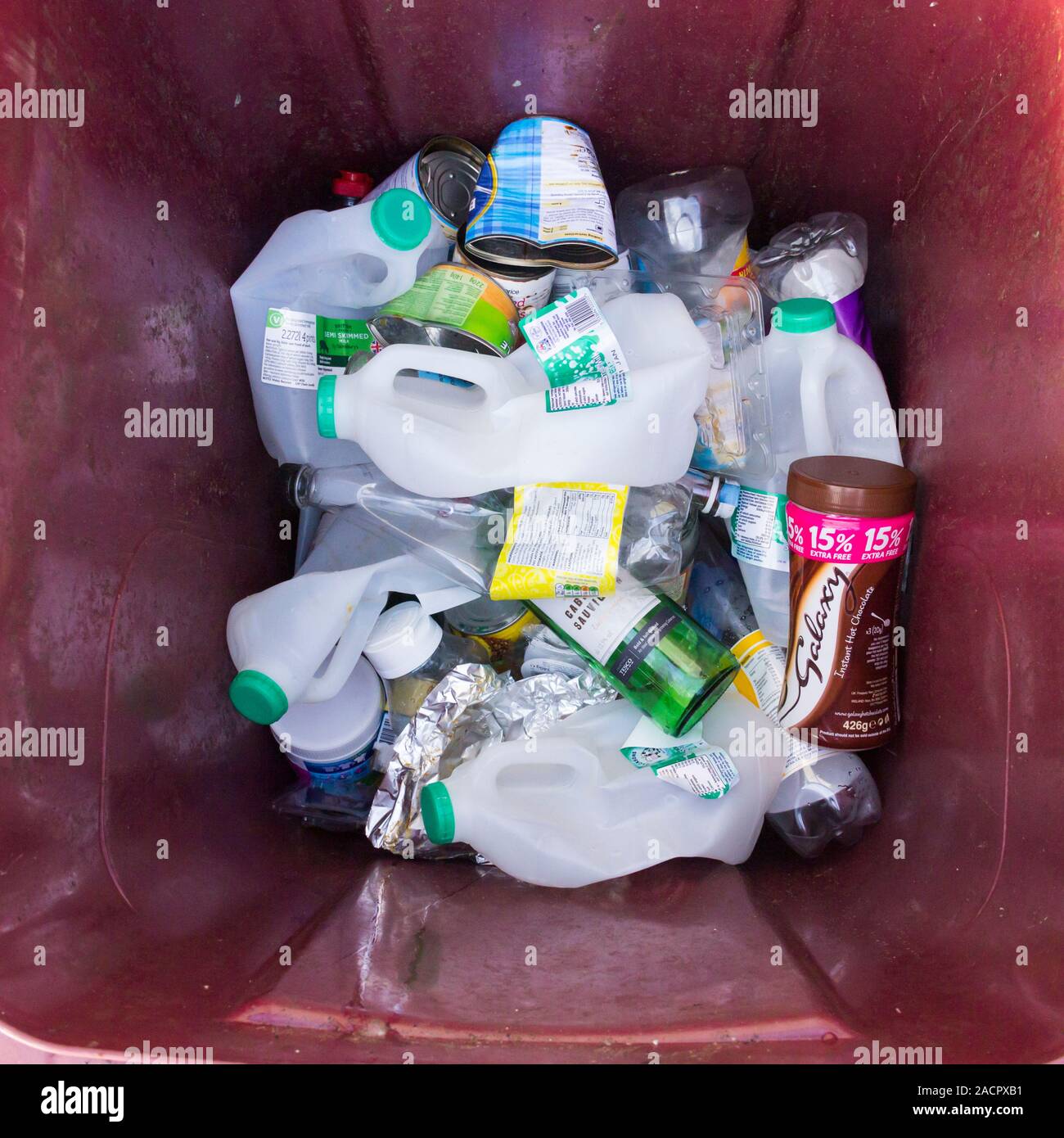 Recyclable houshold waste: plastic bottles, metal tin cans  and glass  bottle domestic recycling waste in a maroon wheelie bin. Stock Photo