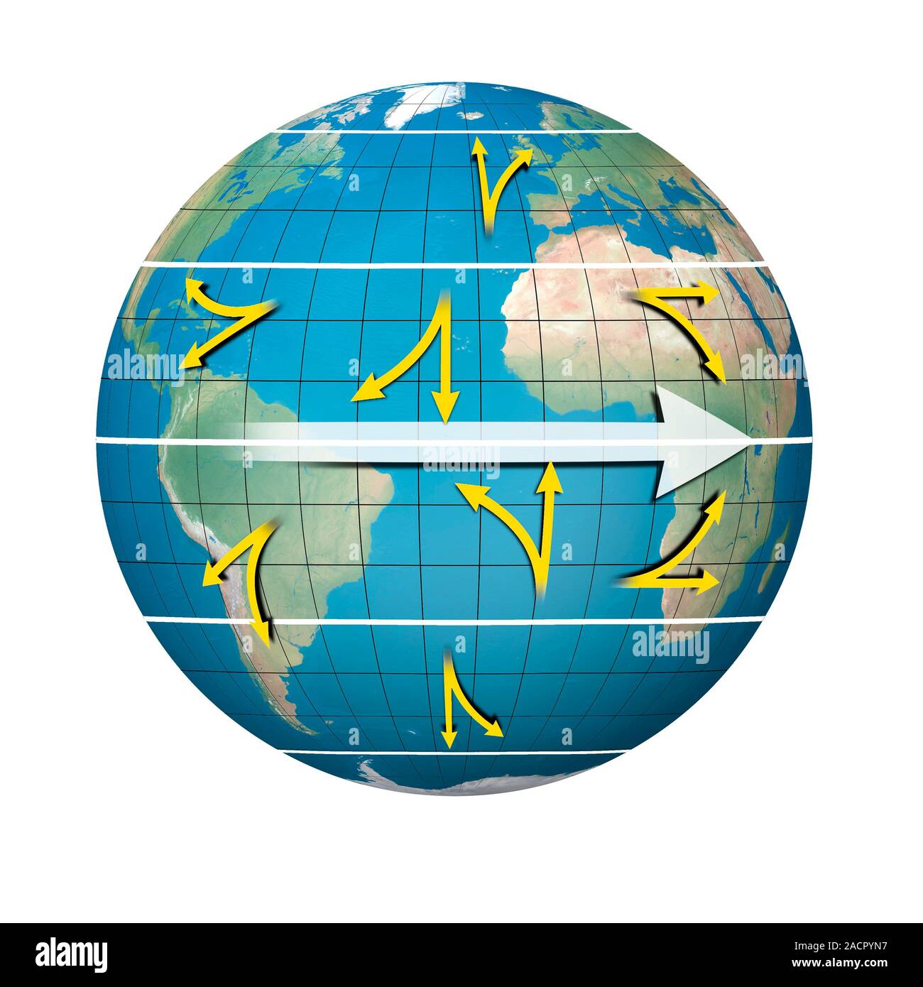 Coriolis Effect. Computer Artwork Of An Earth Globe, Showing How The  Rotation Of The Earth (White Arrow) Affects The Motion (Yellow Arrows) Of  The Win Stock Photo - Alamy
