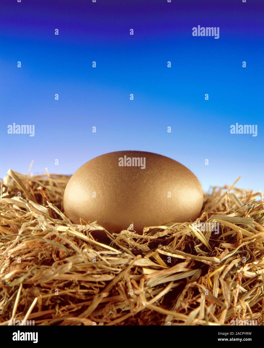 Golden egg. Stock Photo