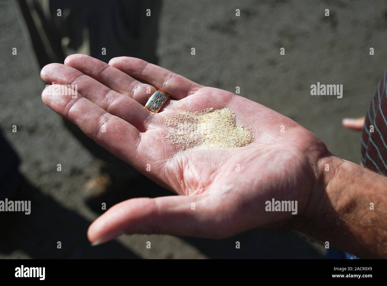 Fracking sand sample. Fracking or hydraulic fracturing is a drilling ...