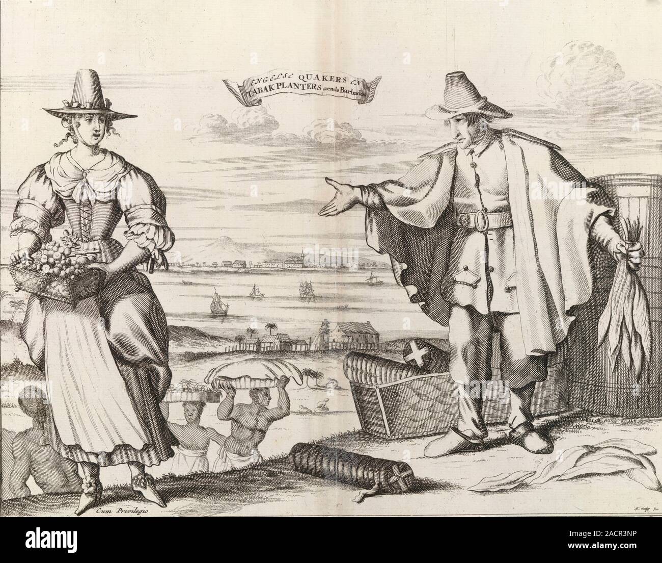 barbados tobacco Tobacco farming in Barbados. 17th-century artwork of English Quakers  running a tobacco plantation in Barbados, an island in the Caribbean.  Tobacco cul Stock Photo