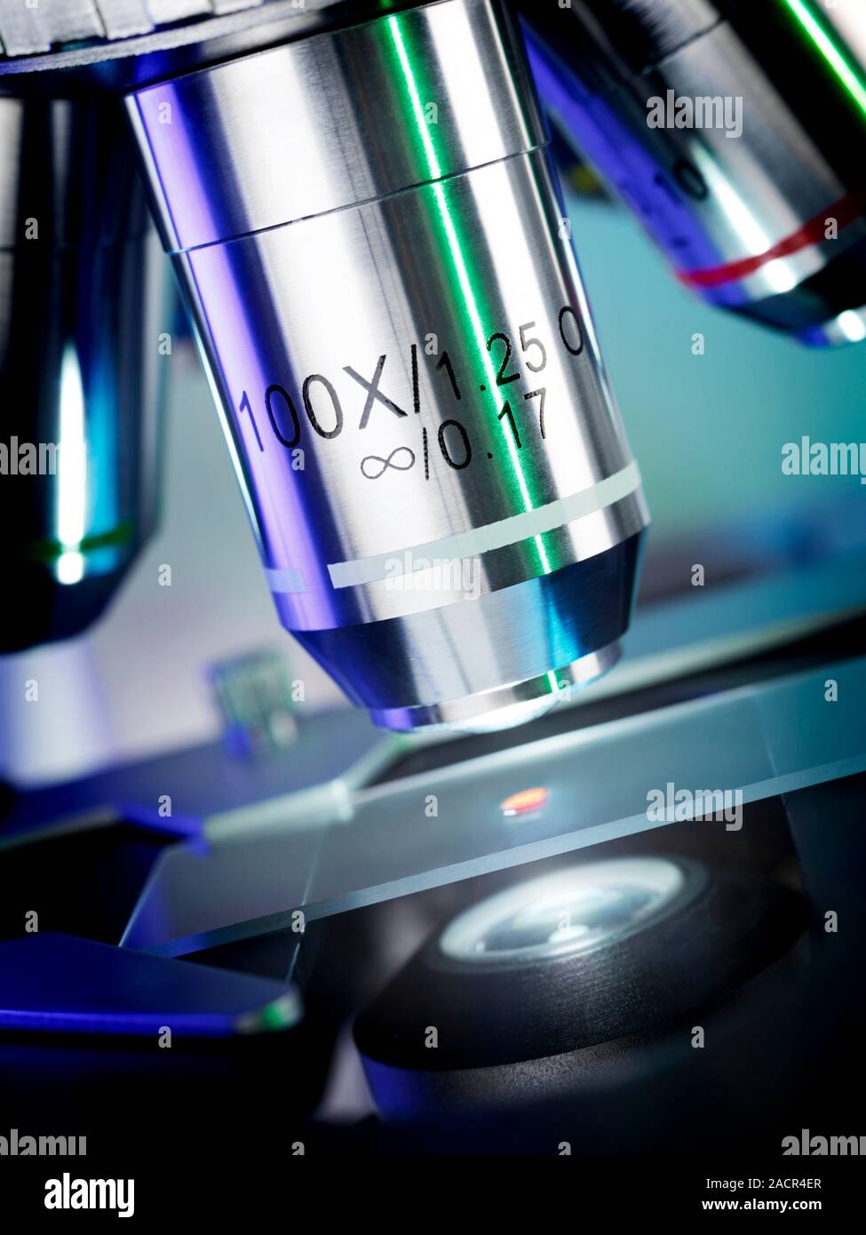Light microscopy. Light microscope being used to magnify a blood sample
