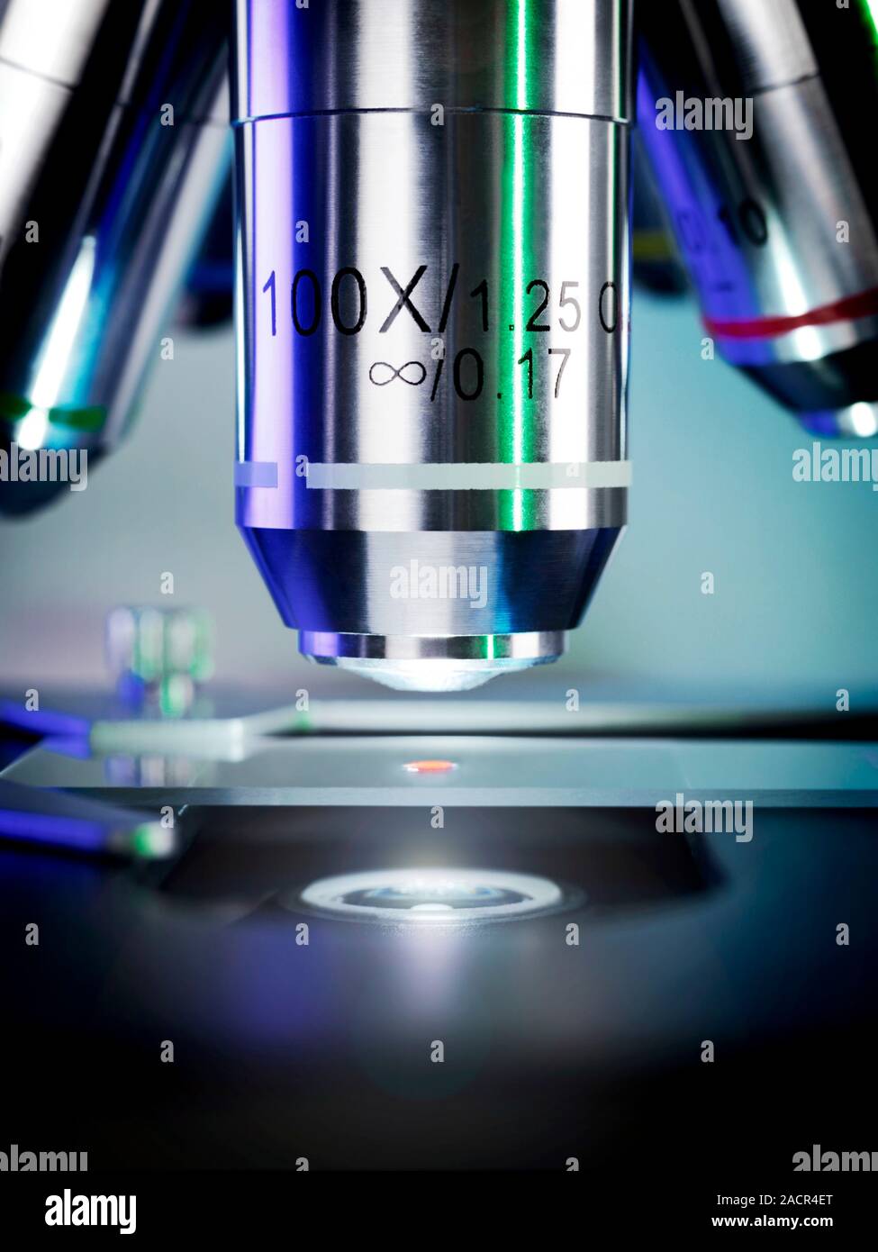 Light microscopy. Light microscope being used to magnify a blood sample