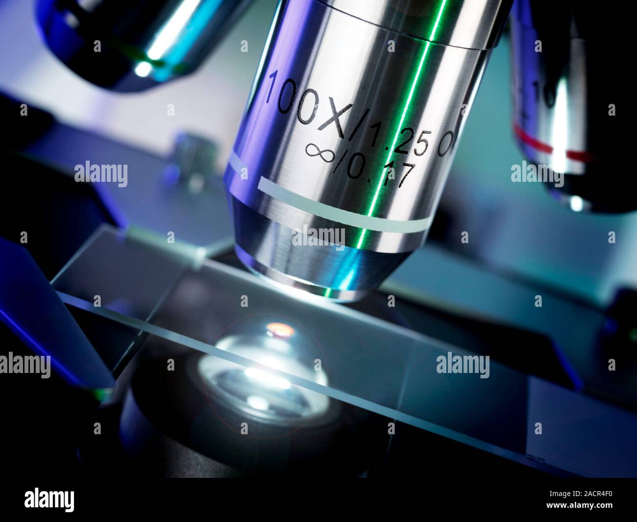 Light microscopy. Light microscope being used to magnify a blood sample