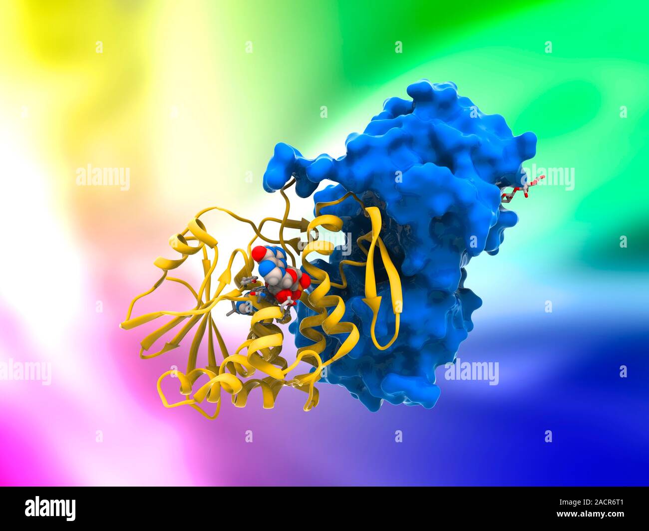 Ricin molecule. Computer artwork showing the structure of a molecule of