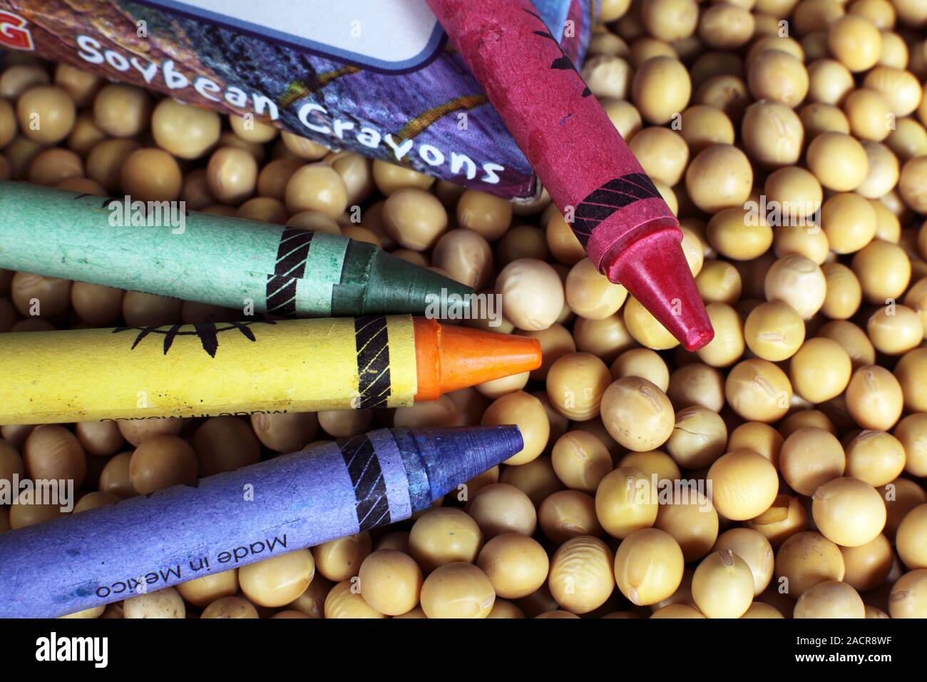 Soybean crayons and soya beans. Soybean crayons were developed in