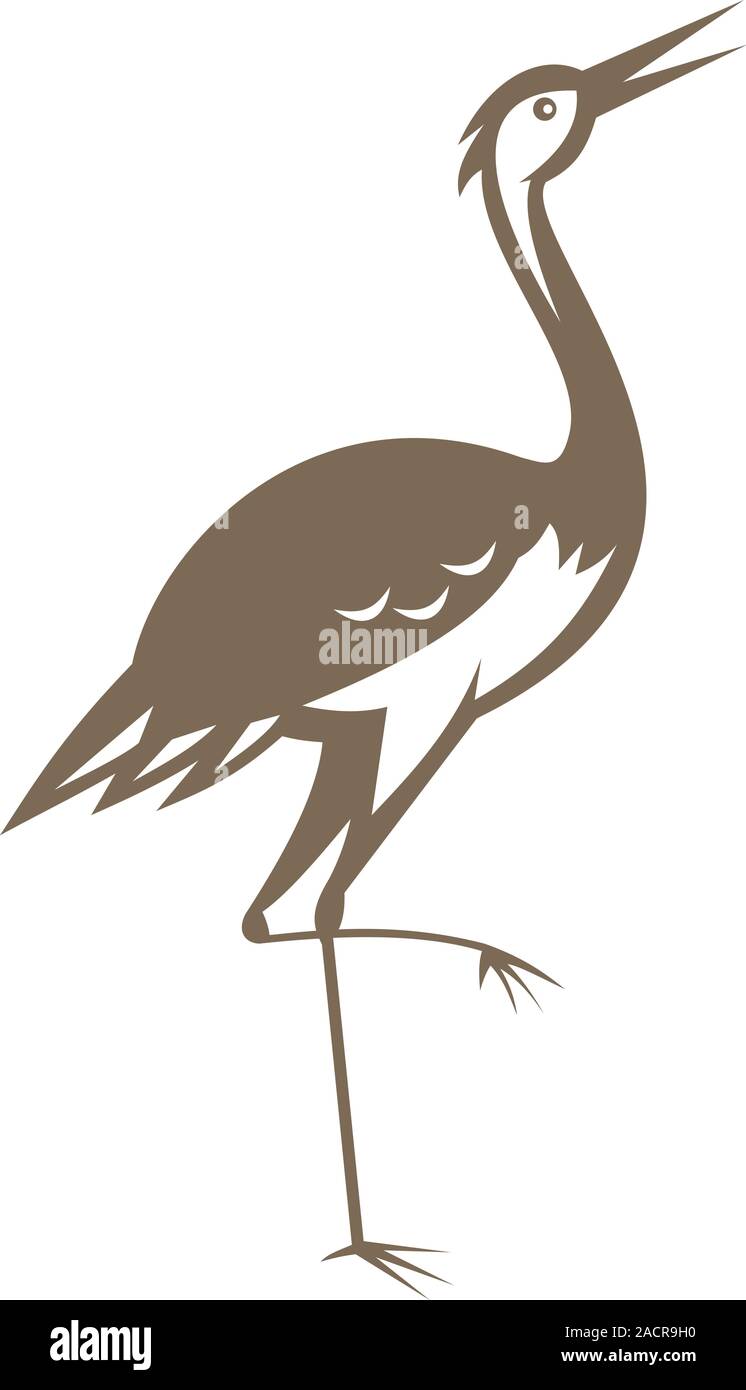 Crane heron looking forward hires stock photography and images Alamy