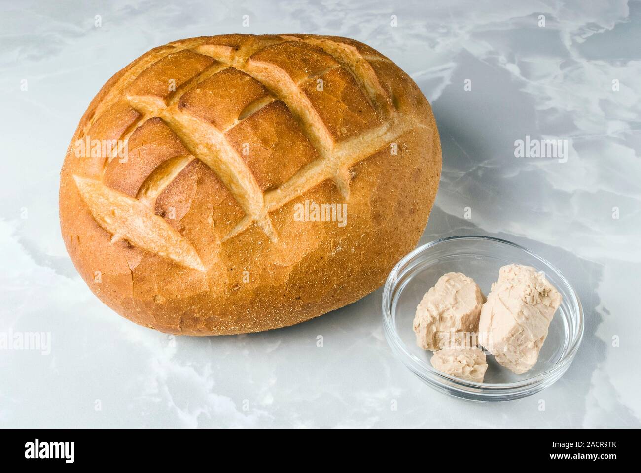 Bread and baker's yeast. Baker's yeast (lower right) is used to make