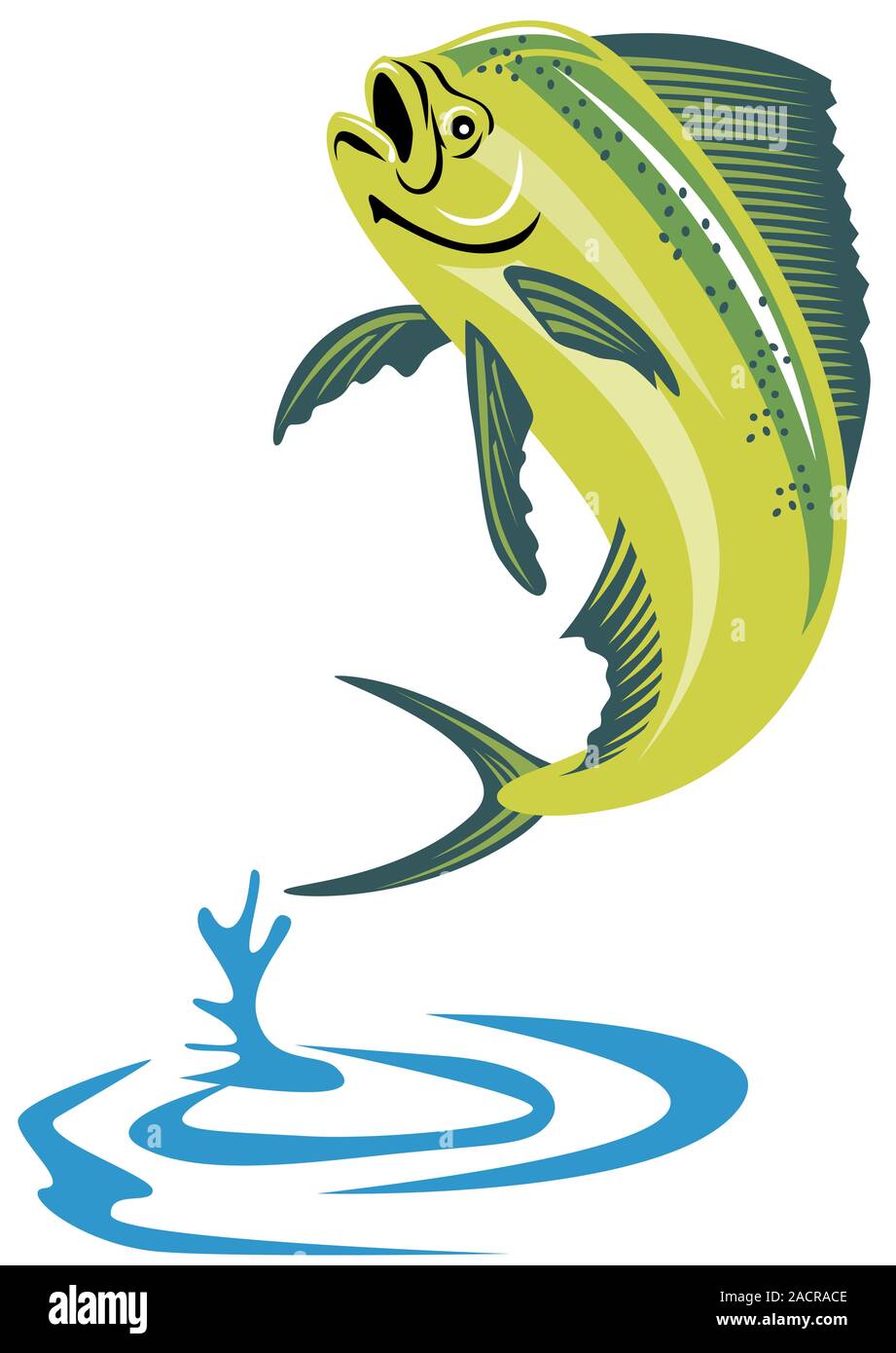 dorado dolphin fish mahimahi jumping Stock Photo Alamy