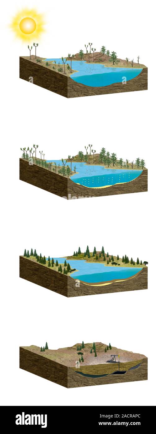 Formation Of Fossil Fuels Computer Artwork Showing How Fossil Fuels Such As Coil Oil And Gas Formation Of Fossil Fuels Computer Artwork Showing How Fossil Fuels Such As Coil Oil And Gas
