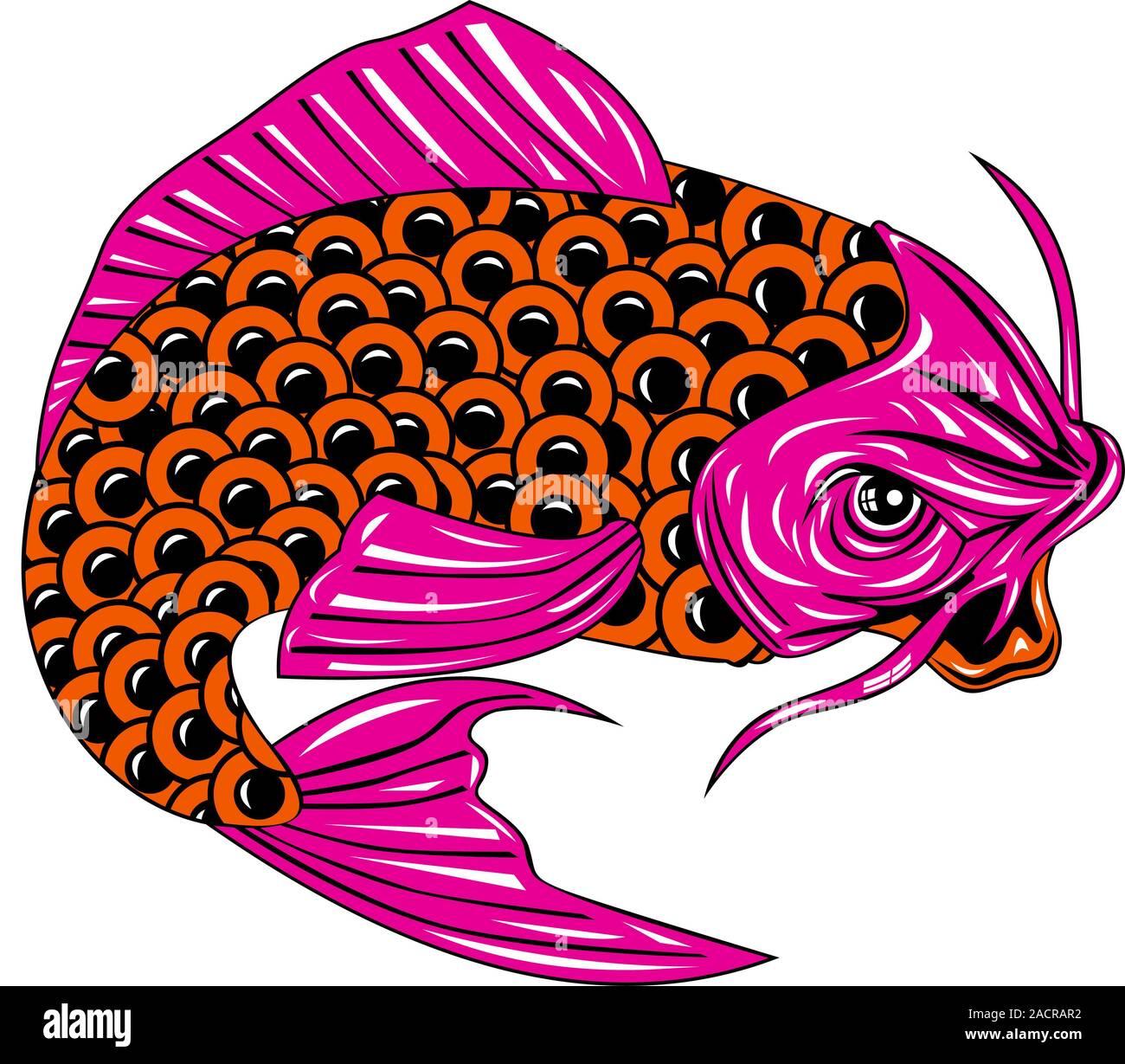 My Image 22