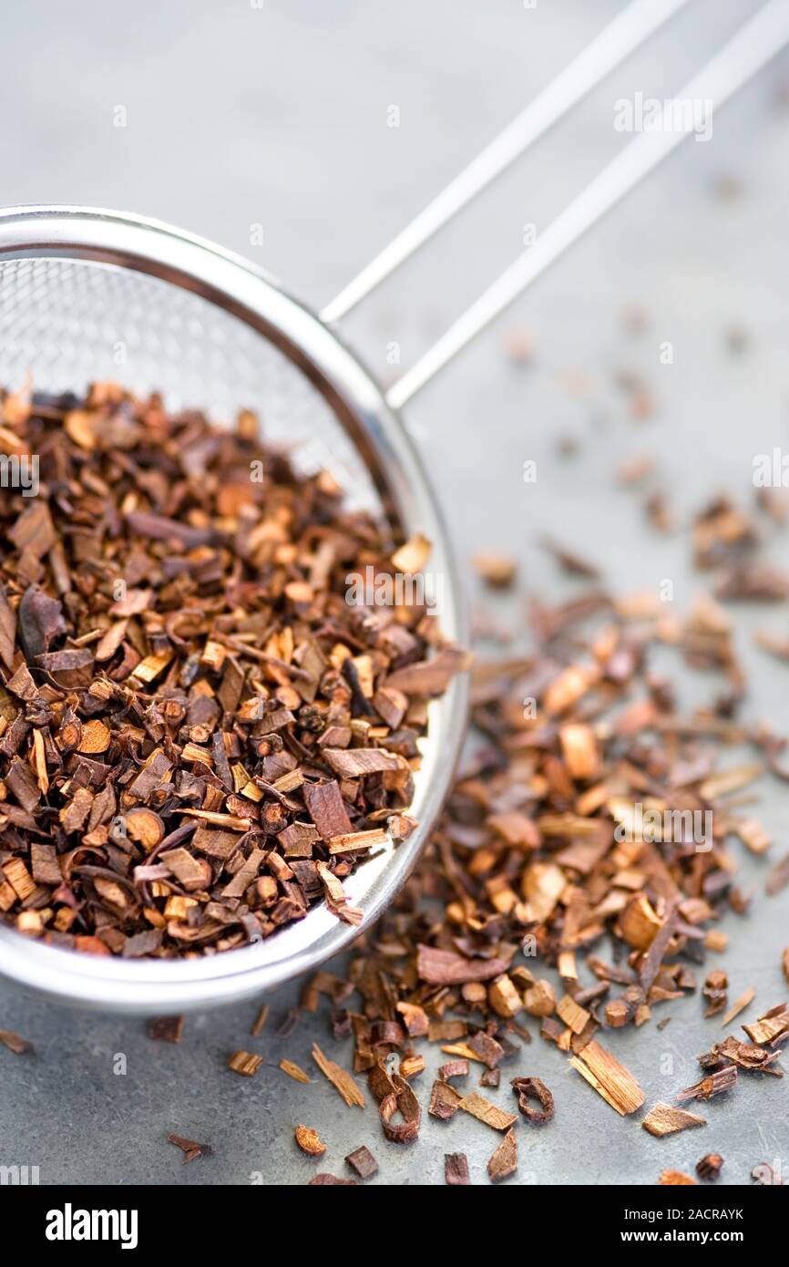 Redbush tea. Sieve containing dried redbush, or rooibos, (Aspalathus