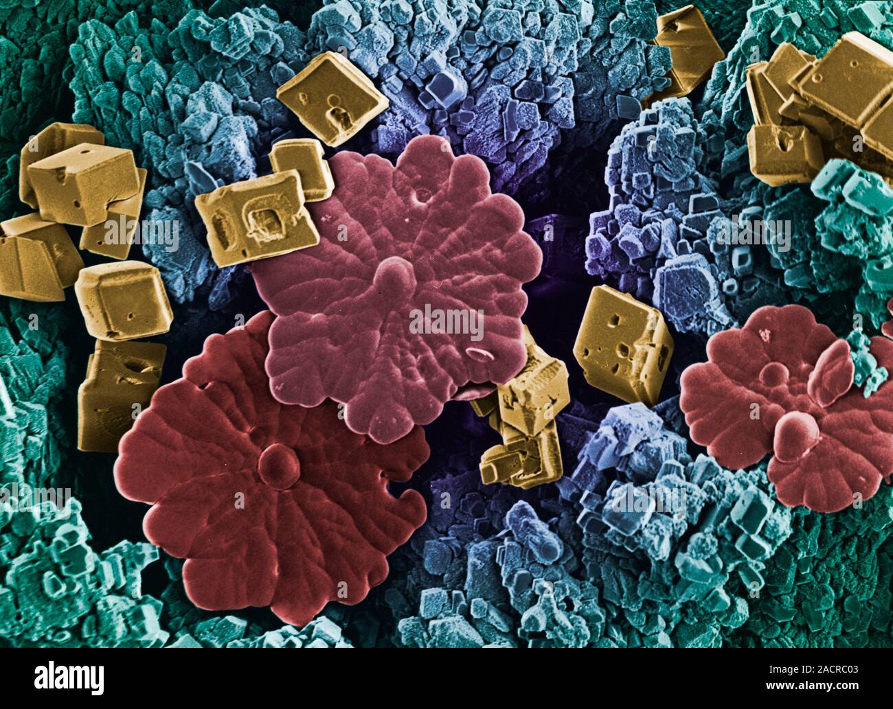 Limescale deposits, from the surface of a water heater. Limescale forms