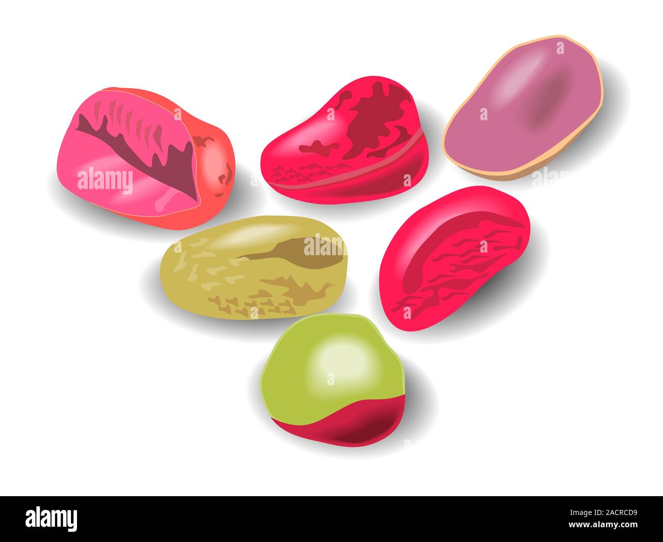 Kola Nut Fruit Retro Stock Photo Alamy