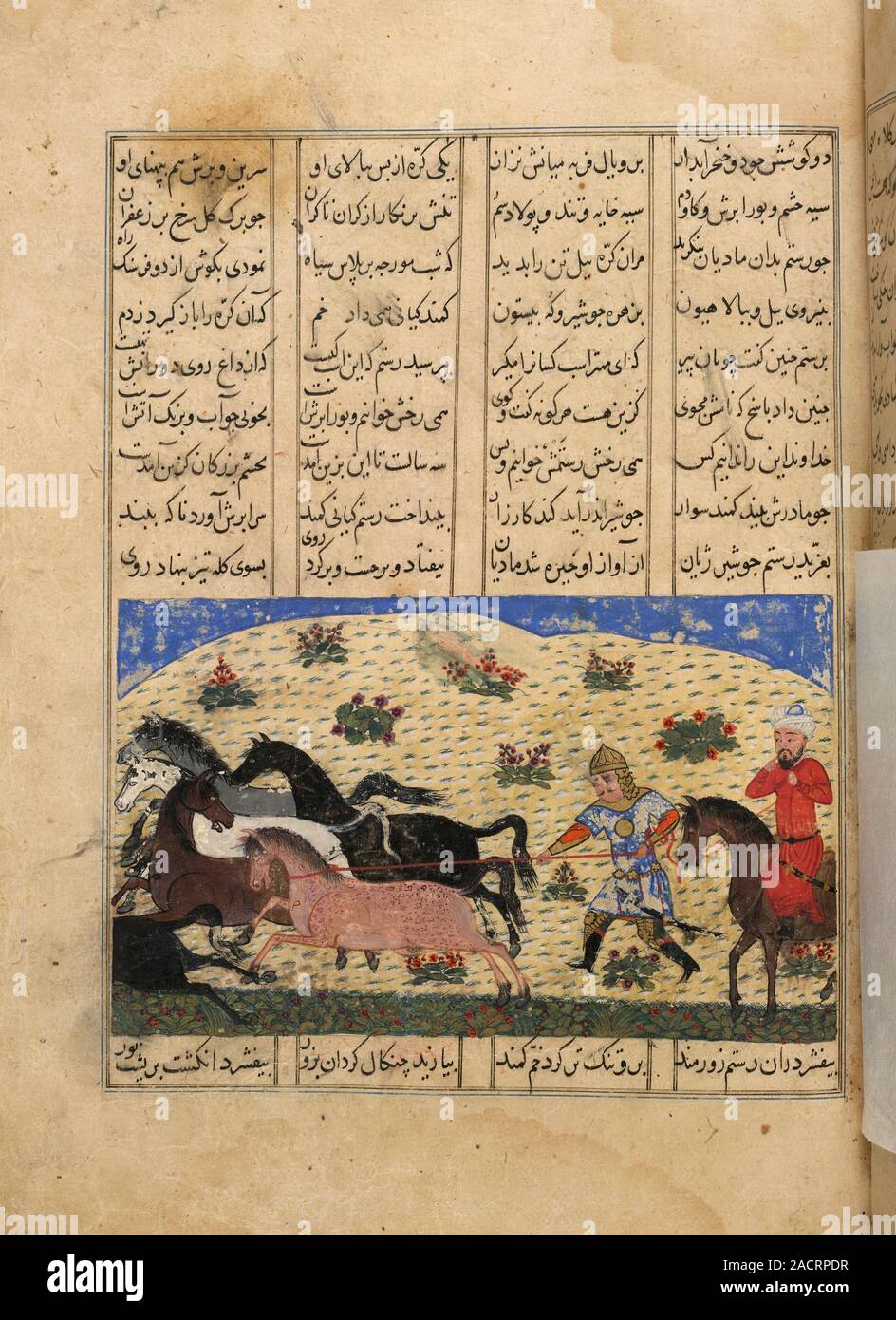 Rustam catching Rakhsh. A miniature painting from a fifteenth century ...