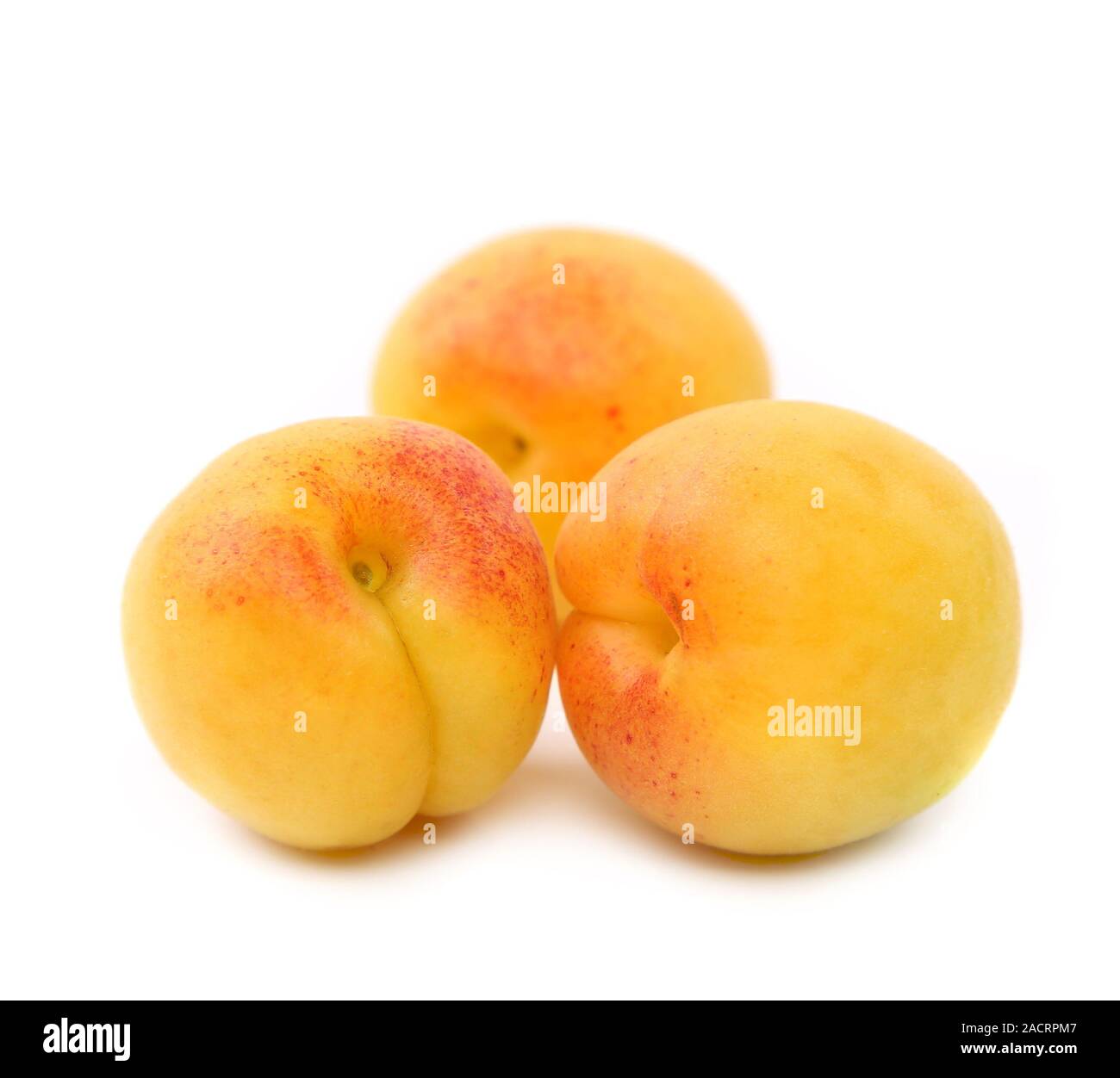 three fresh apricot fruits isolated Stock Photo Alamy