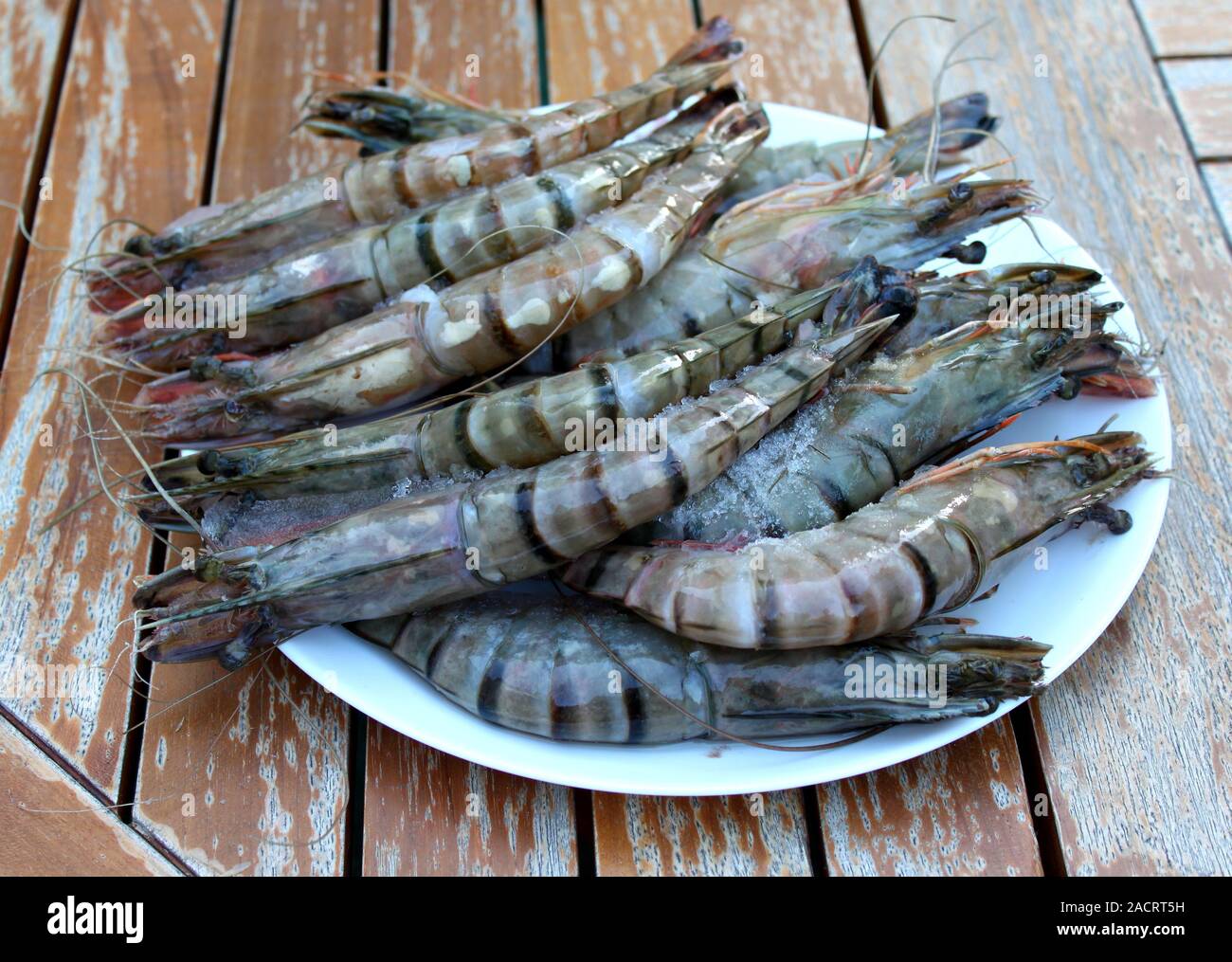 Fresh Shrimp in a plate on the garden table. Stock Photo
