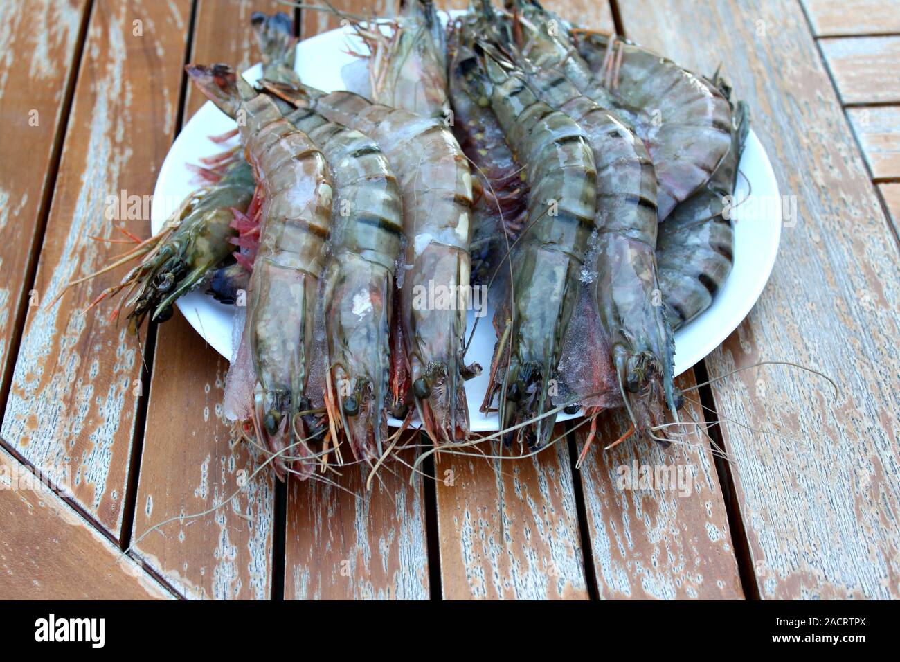 Fresh Shrimp in a plate on the garden table. Stock Photo