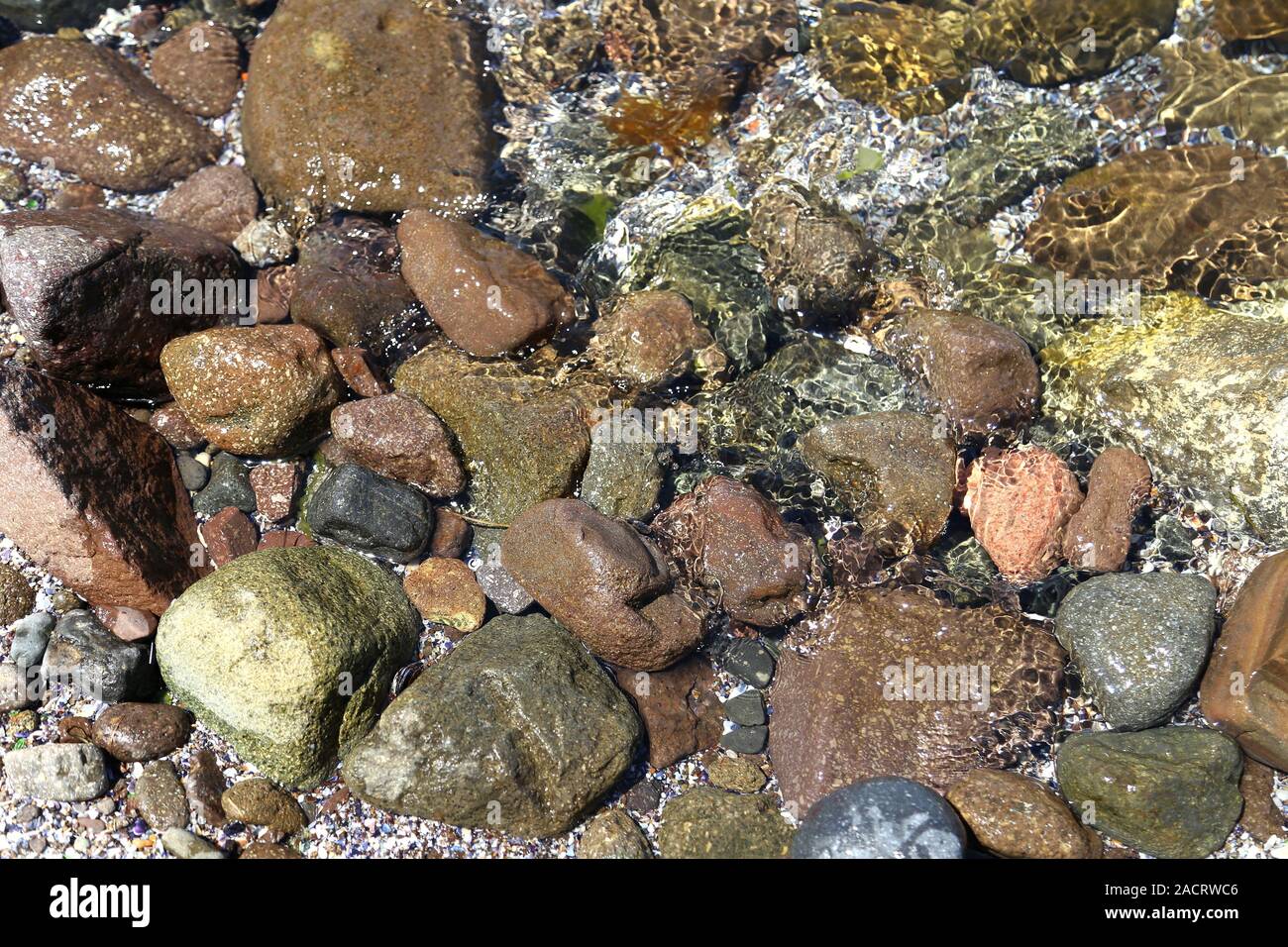 Wet stones on the beach Stock Photo Alamy