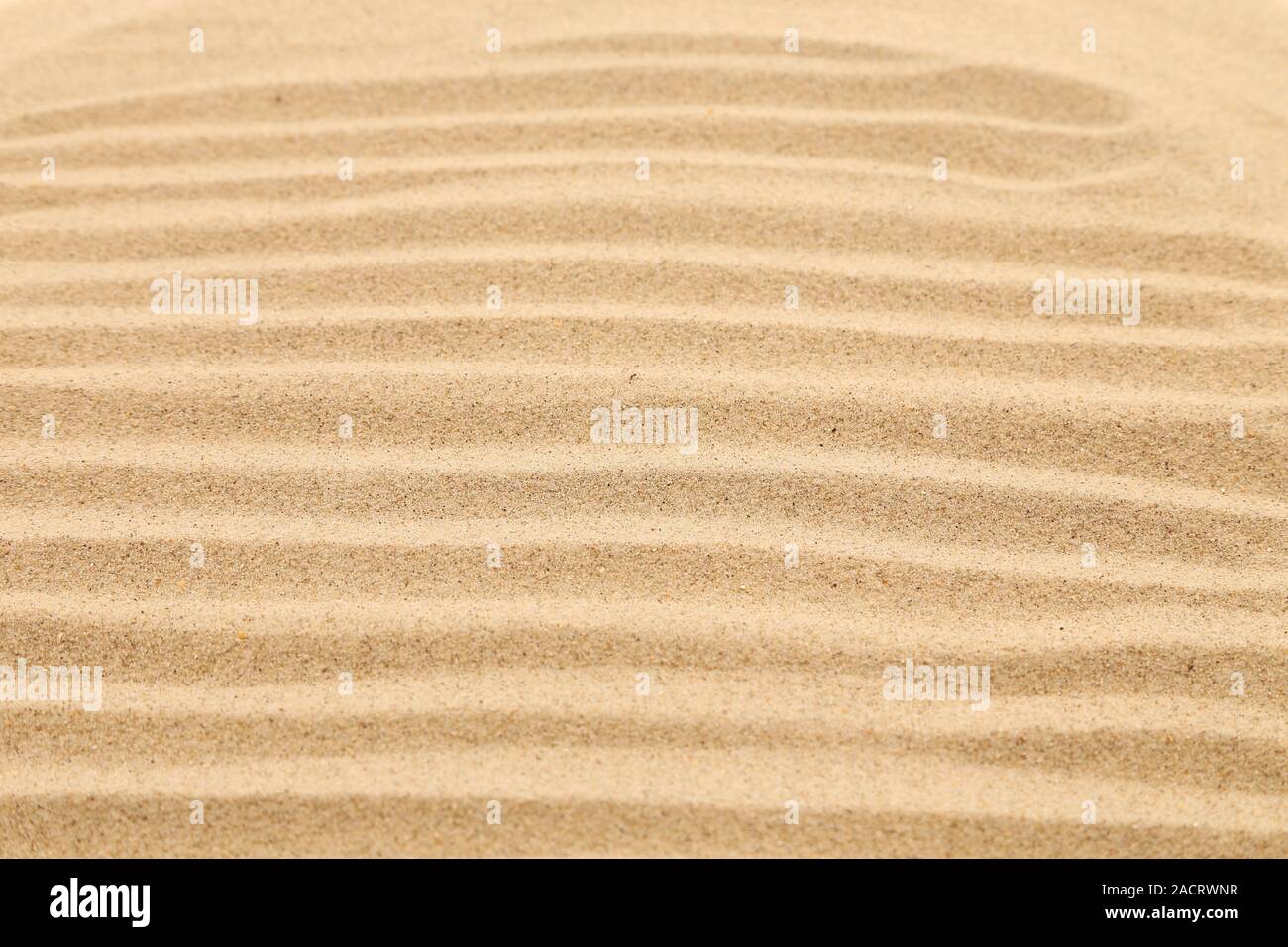 Seamless sand on a whole background. Texture. Stock Photo